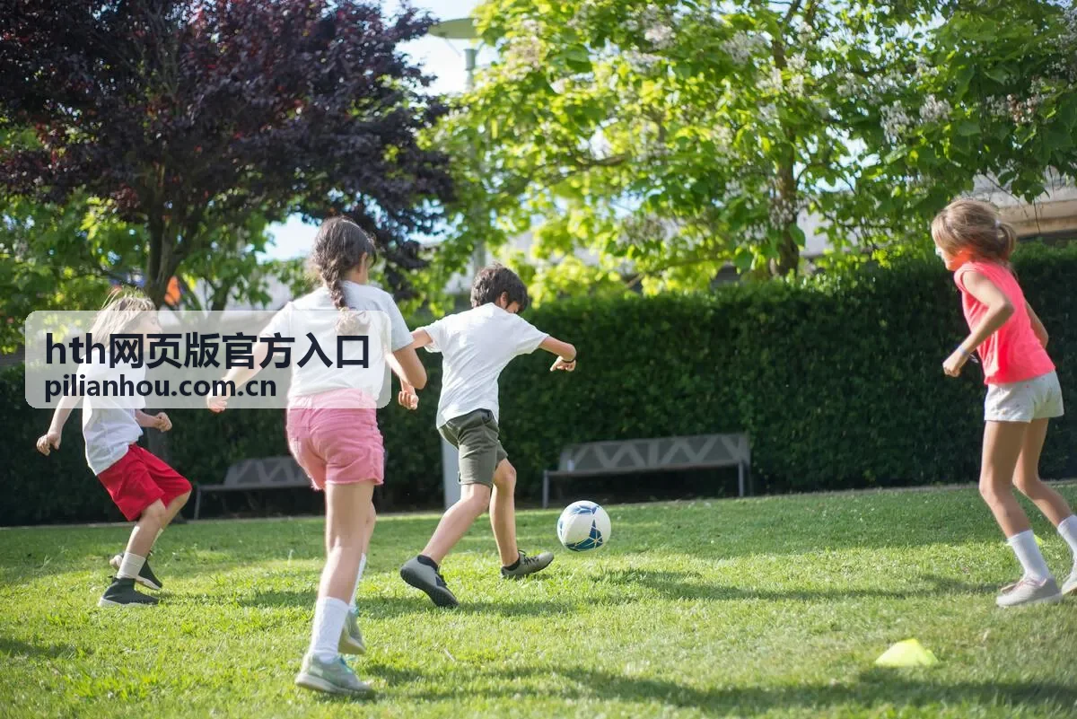 hth网页版官方入口 入口核验清单封面